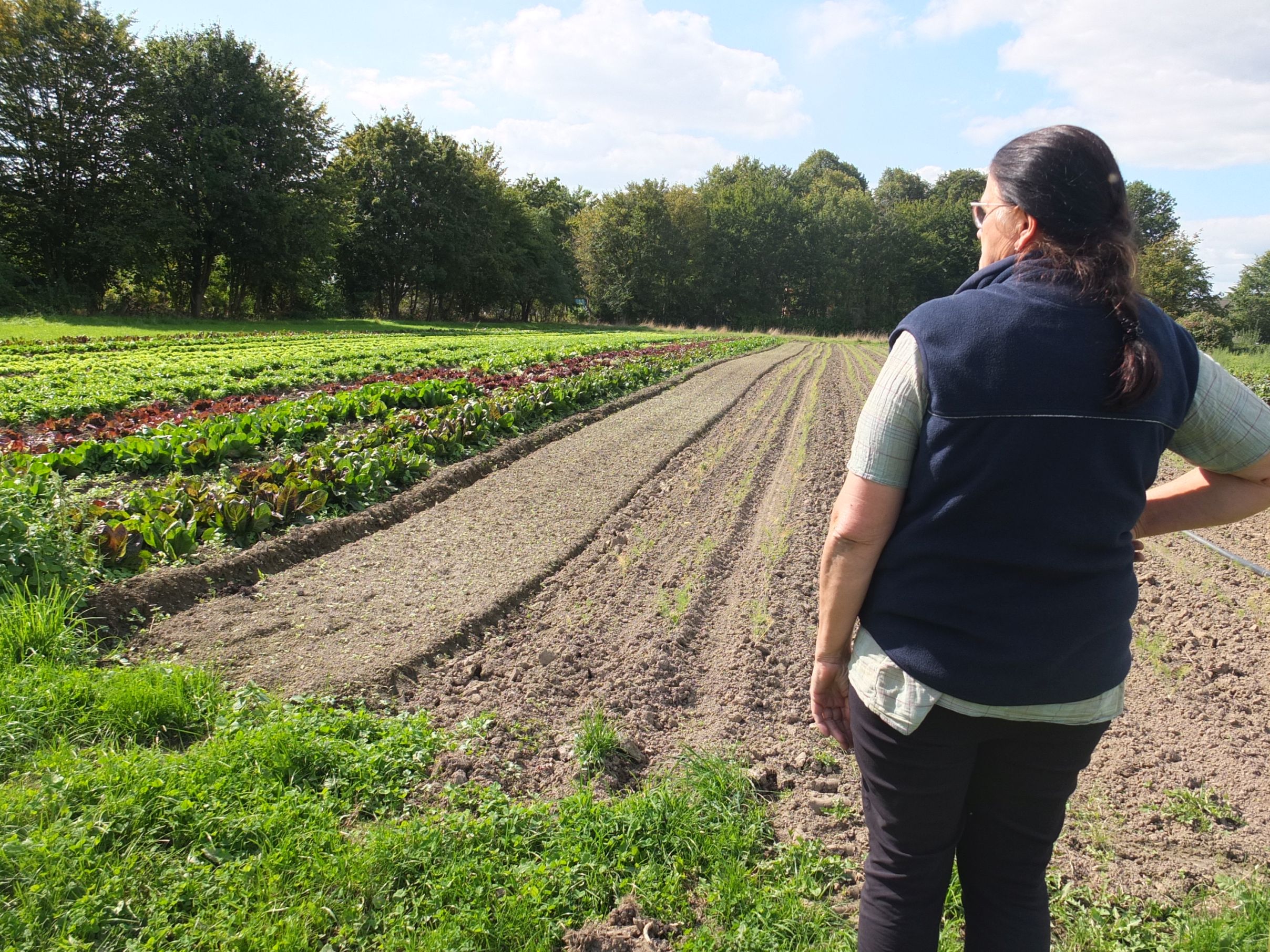 Leiterin Leiterin Rita Breker-Kremer schaut sich die Erntefelder an